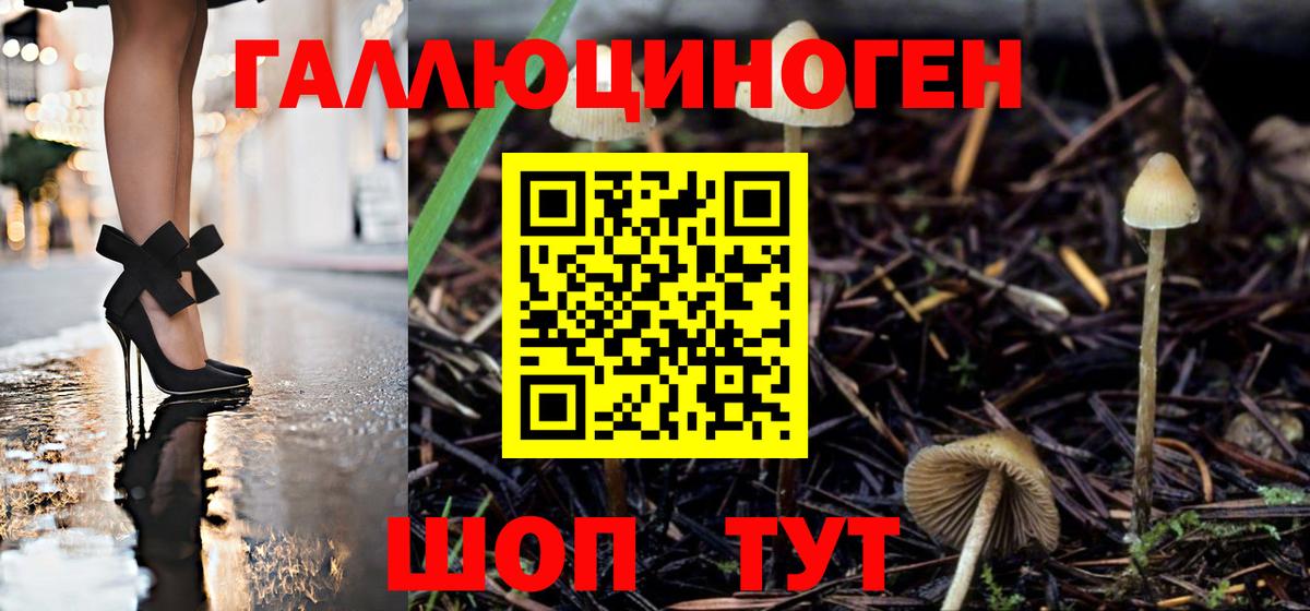 Добрянка  Псилоцибиновые грибы мухоморы  Вход с VPN 